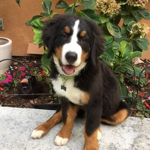 Meet your Posher, Patti